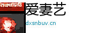 爱妻艺